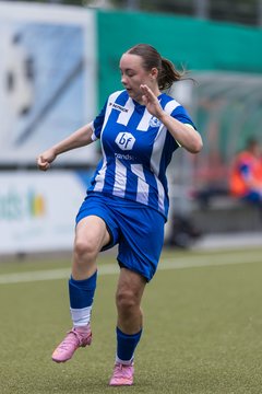 Bild 205 - wBJ Hamburger SV - FC Suederelbe : Ergebnis: 9:0